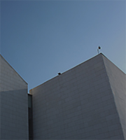 �����޽�