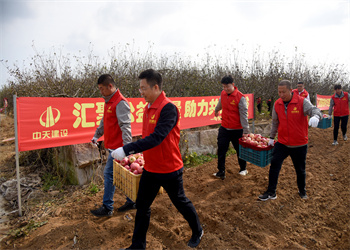 ������ƻ���������������������𣡡�