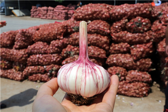 ��Ĳ�ز�����������������������Ƥ�����.jpg